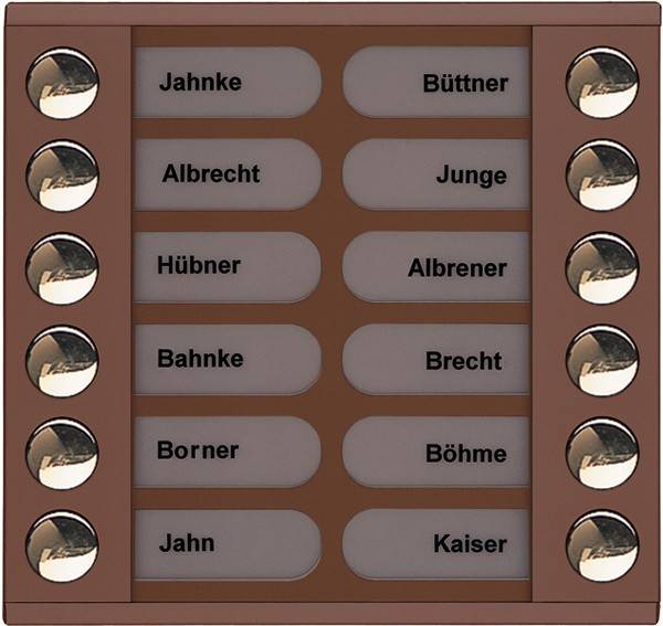 TCS Tür Control Audioaußenstation 2-reihig PET12-EB/04