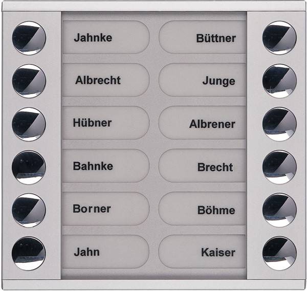 TCS Tür Control Audioaußenstation 2-reihig PET12-EN/04