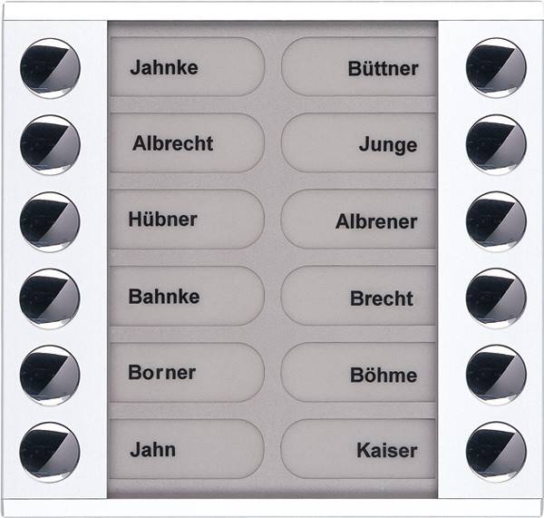 TCS Tür Control Audioaußenstation 2-reihig PET12-WS/04
