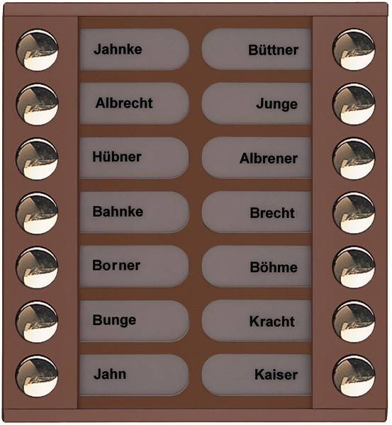 TCS Tür Control Audioaußenstation 2-reihig PET14-EB/04