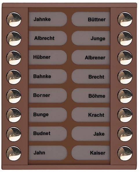 TCS Tür Control Audioaußenstation 2-reihig PET16-EB/04