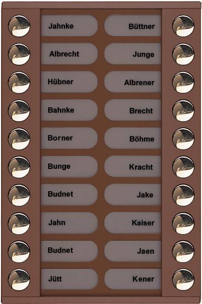 TCS Tür Control Audioaußenstation 2-reihig PET20-EB/04