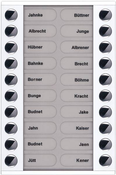 TCS Tür Control Audioaußenstation 2-reihig PET20-WS/04