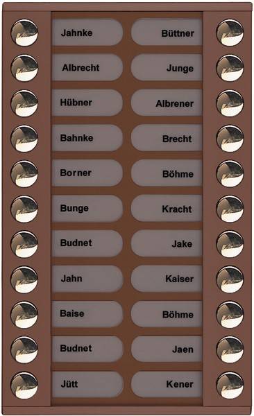 TCS Tür Control Audioaußenstation 2-reihig PET22-EB/04