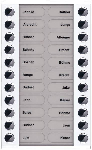 TCS Tür Control Audioaußenstation 2-reihig PET22-WS/04