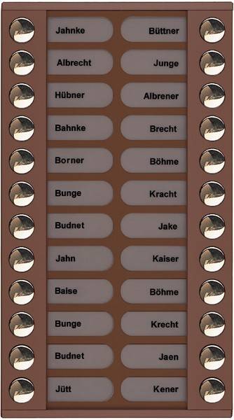 TCS Tür Control Audioaußenstation 2-reihig PET24-EB/04