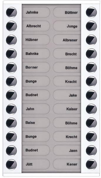 TCS Tür Control Audioaußenstation 2-reihig PET24-WS/04