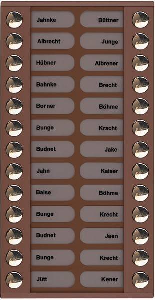 TCS Tür Control Audioaußenstation 2-reihig PET26-EB/04