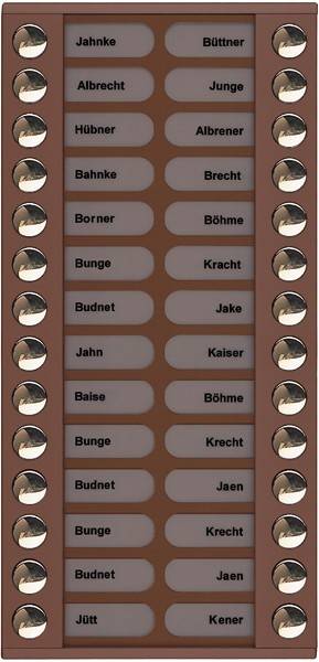 TCS Tür Control Audioaußenstation 2-reihig PET28-EB/04