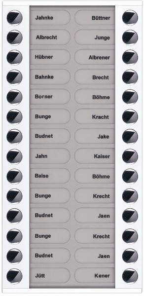 TCS Tür Control Audioaußenstation 2-reihig PET28-WS/04