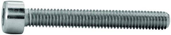Striebel&John Zylinderschraube ZX259P20(VE20)