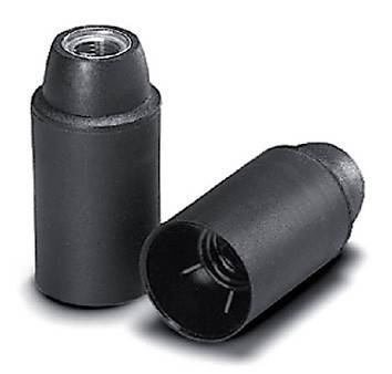 Scharnberger+Hasenbein Fassung 88317