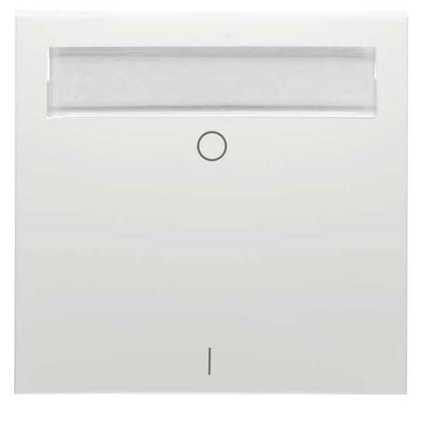 Peha Wippe 2polig D 11.542.70 NA