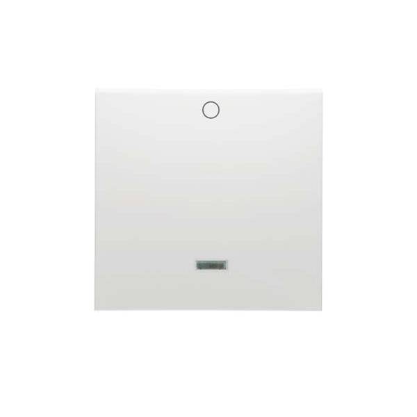 Peha Wippe 2-polig D 11.642.70 GLK