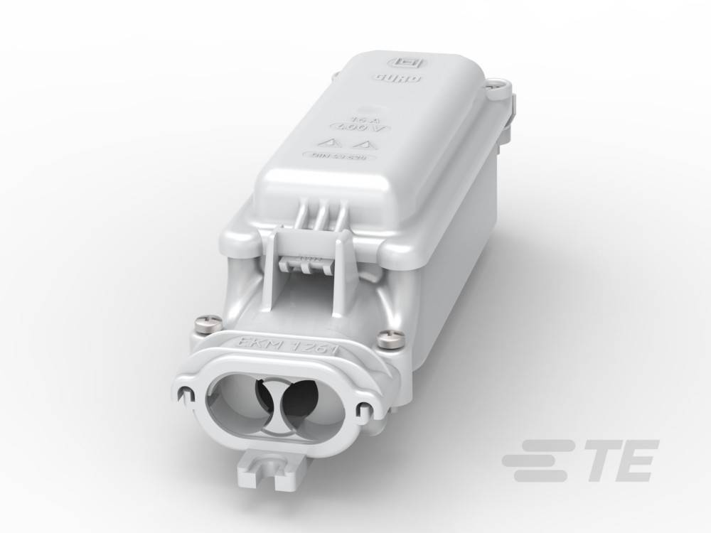 Krüger-Werke GmbH Sicherungskasten EKM 1261/91081