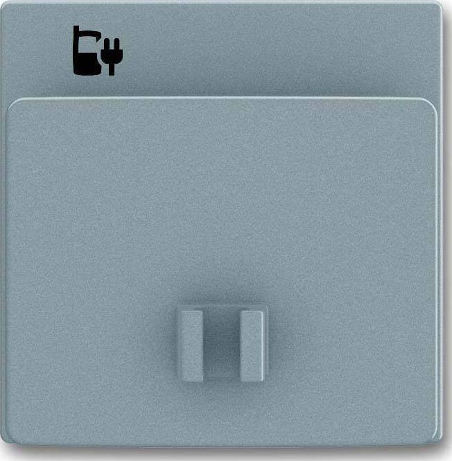 Busch-Jaeger Zentralscheibe 6478-803