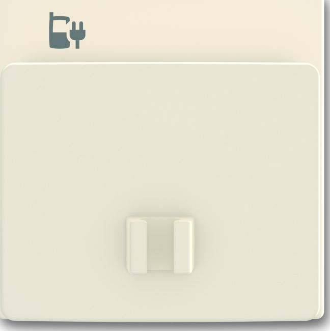 Busch-Jaeger Zentralscheibe elfenb-ws 6478-82