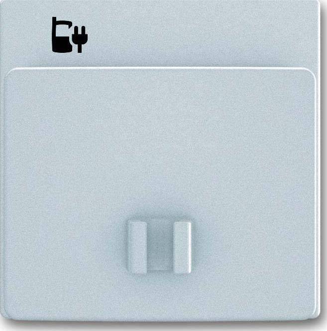 Busch-Jaeger Zentralscheibe eds 6478-866