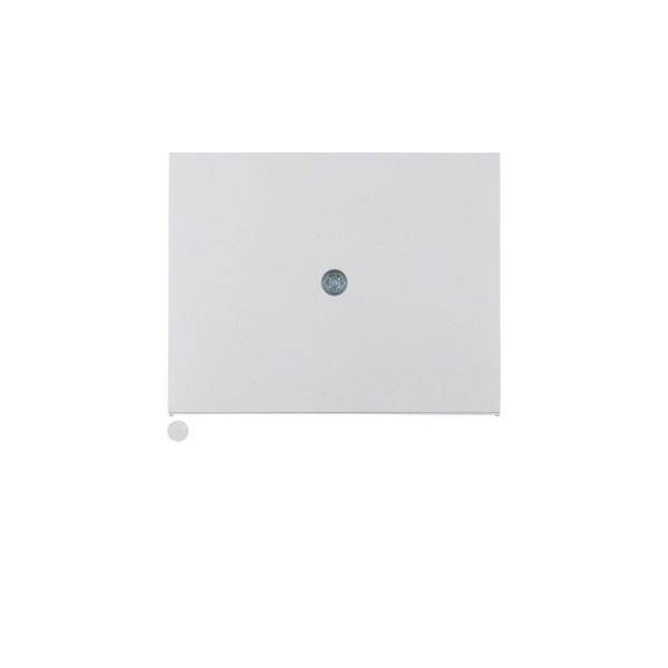 Berker Zentralstück 10057003