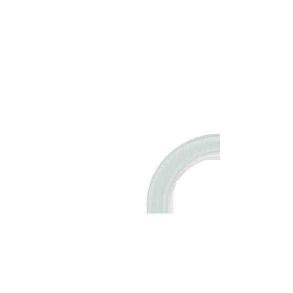 Berker Rahmen Glas/pows 10112009