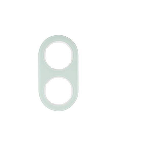 Berker Rahmen Glas/pows 10122009