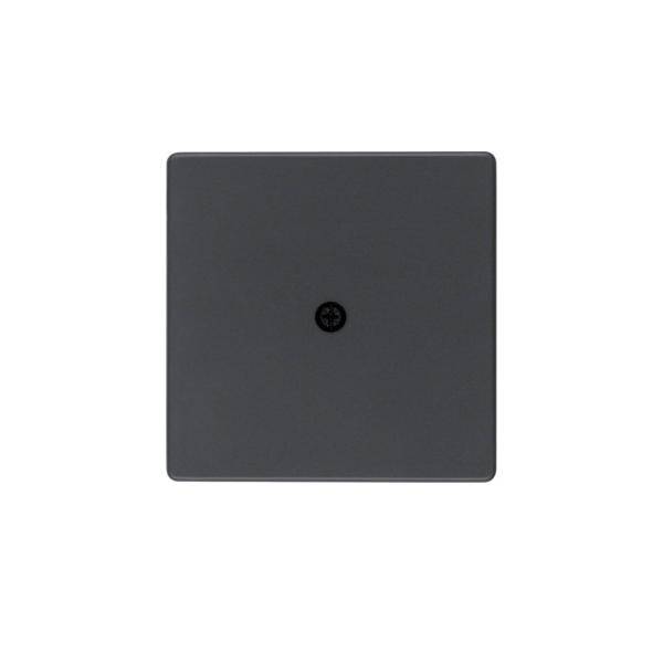 Berker Zentralstück anth/sa 10196086