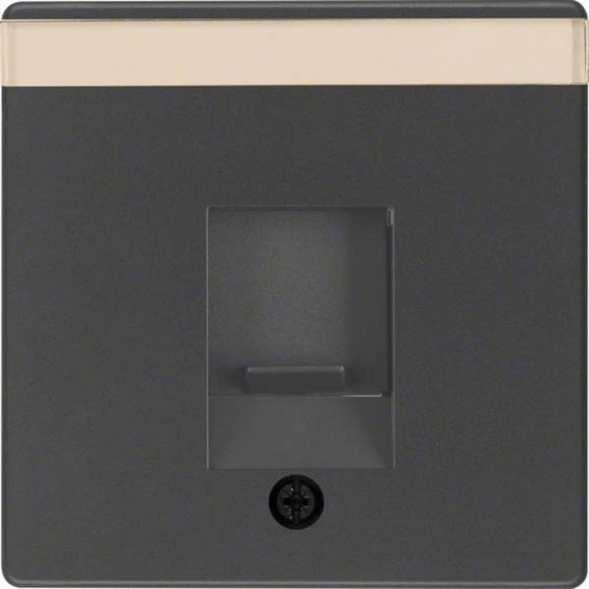 Berker Zentralstück anth/sa 11706086