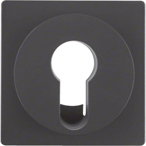 Berker Zentralstück anth/sa 15076086