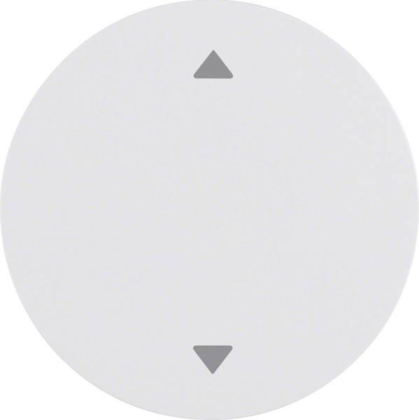 Berker Wippe pows/gl 16202049