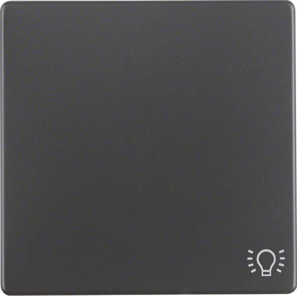 Berker Wippe anth/sa 16206046