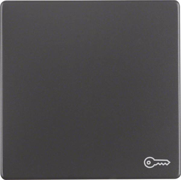 Berker Wippe anth/sa 16206066