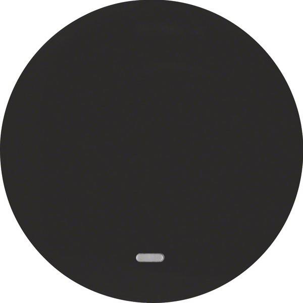 Berker Wippe sw/gl 16212045