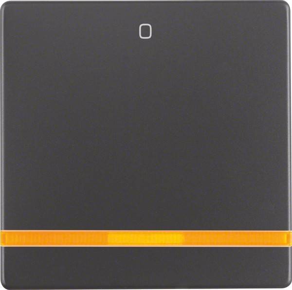 Berker Wippe anth/sa 16246086