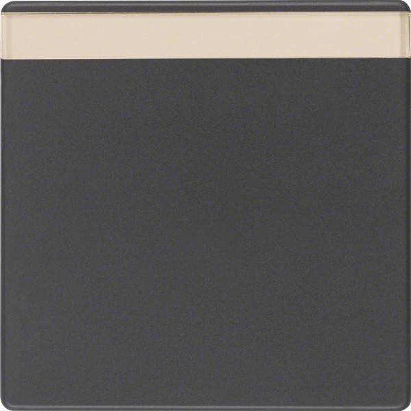 Berker Wippe anth/sa 16266086