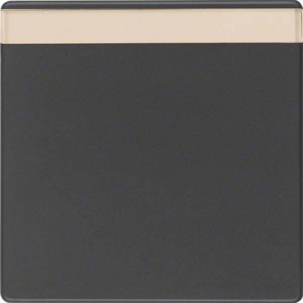 Berker Wippe anth/sa 16266086