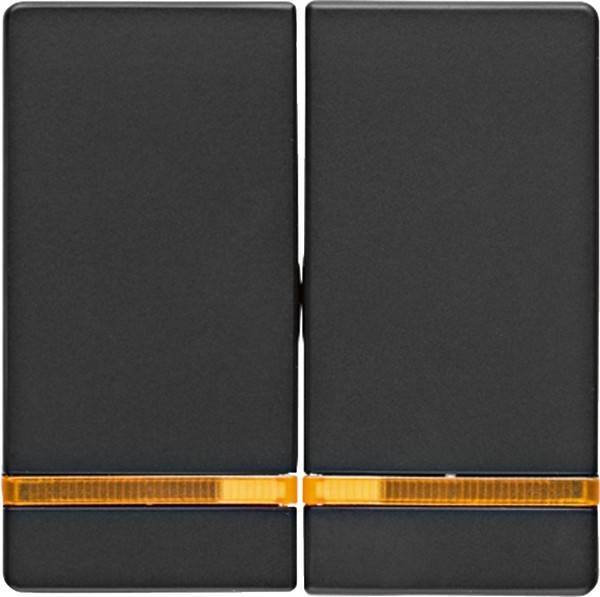 Berker Wippe anth/sa 16276086