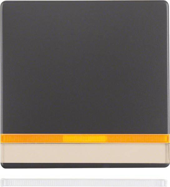 Berker Wippe anth/sa 16286086