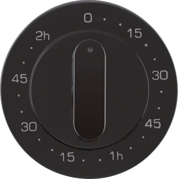 Berker Zentralstück sw/gl 120min 16332045