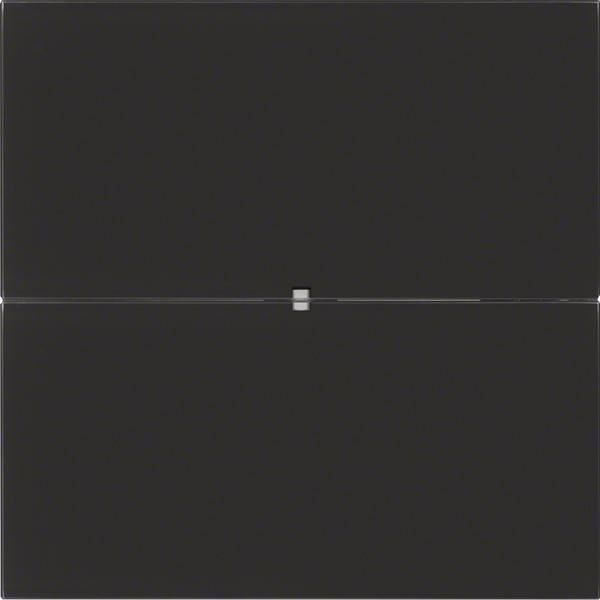 Berker Tastsensor 2fach 75162092