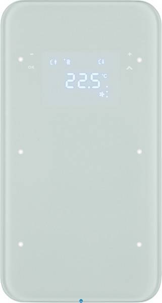 Berker Touchsensor 2fach 75642060