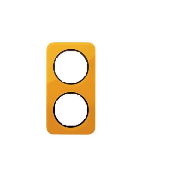 Berker Rahmen 2-fach 10122334