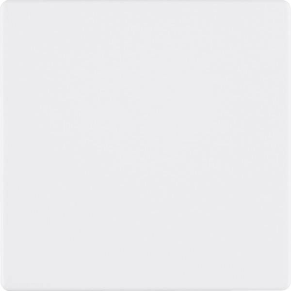 Berker KNX-Funk Taste 1fach 85145129