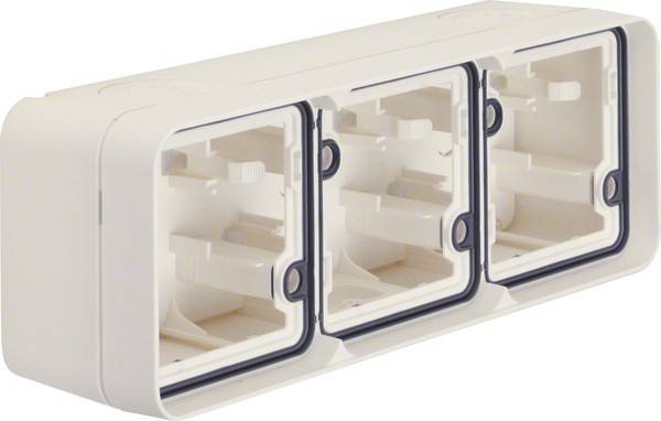 Berker Gehäuse mit Rahmen 6019303502