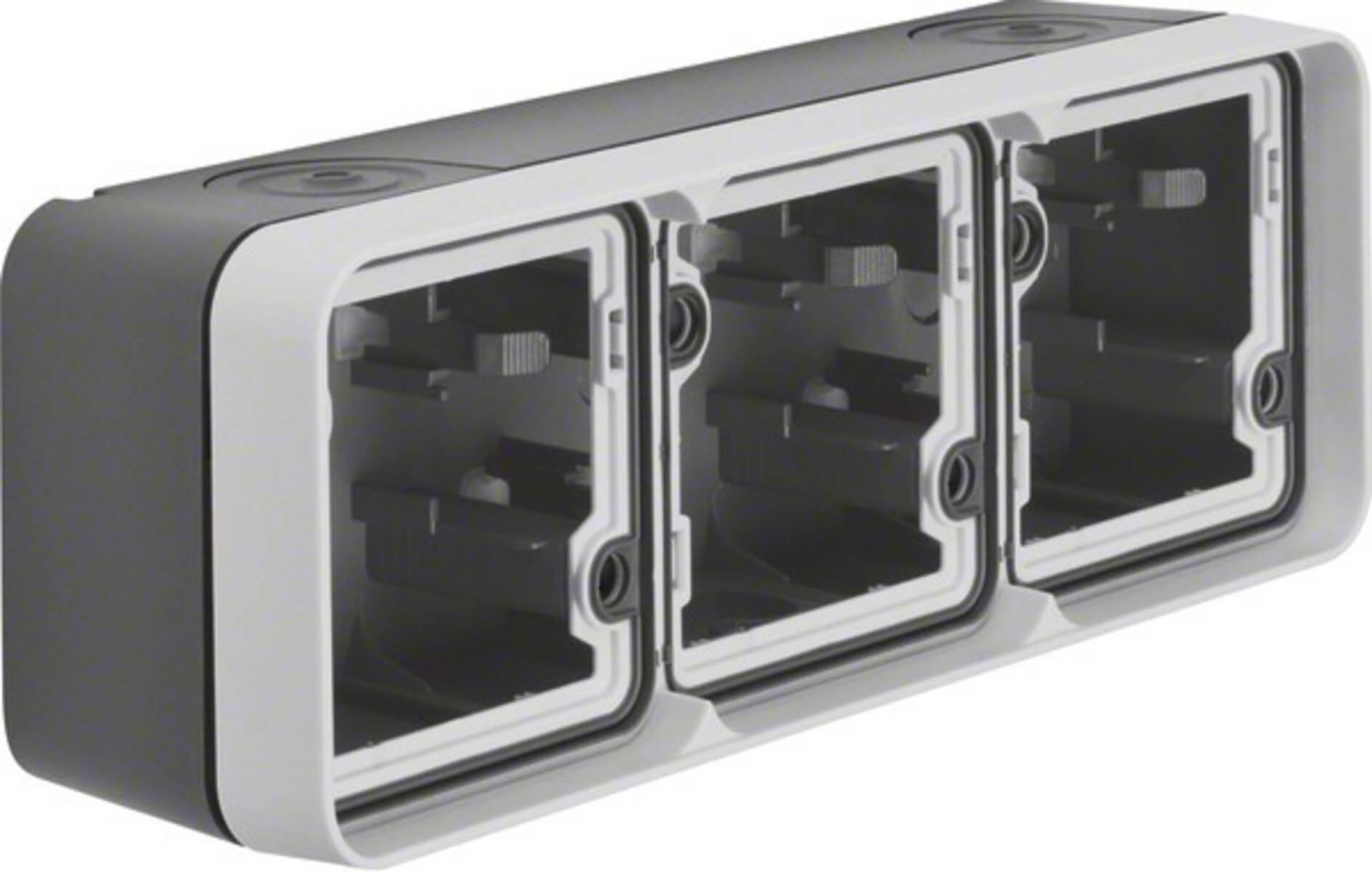 Berker Gehäuse mit Rahmen 6019303505