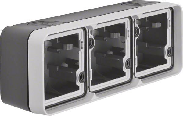 Berker Gehäuse mit Rahmen 6019303505