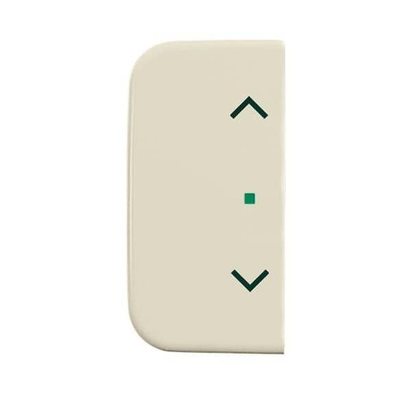 Busch-Jaeger Wippe 1-fach, Symbol Licht 6232-20-212