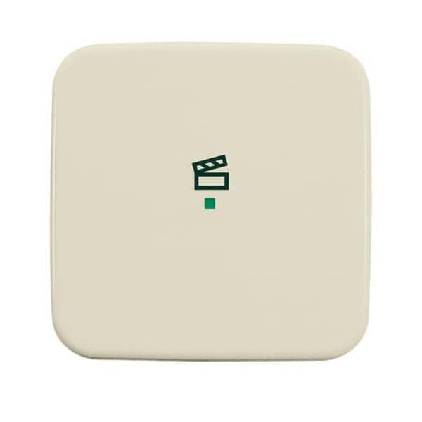 Busch-Jaeger Wippe 1-fach, Symbol Licht 6233-10-212