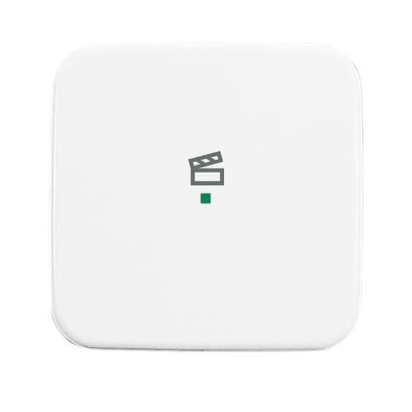 Busch-Jaeger Wippe 1-fach, Symbol Licht 6233-10-214