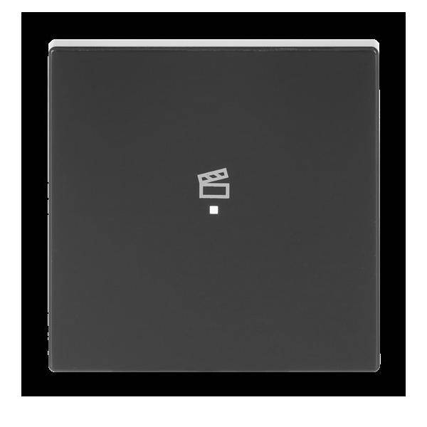 Busch-Jaeger Wippe 1-f Symbol Szene 6233-10-81