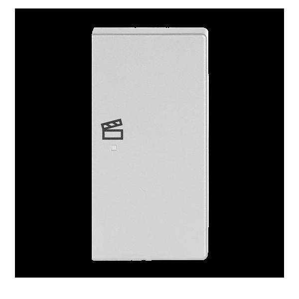 Busch-Jaeger Wippe 2-f re Symbol Szene 6233-22-83